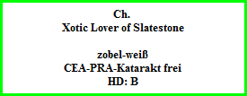 Ch.   Xotic Lover of Slatestone    zobel-weiß  CEA-PRA-Katarakt frei  HD: B