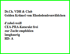 Dt.Ch. VDH & Club  Golden Krümel vom Rhododendronwäldchen    d'zobel-weiß  CEA-PRA-Katarakt frei  zur Zucht empfohlen  langhaarig  HD: A