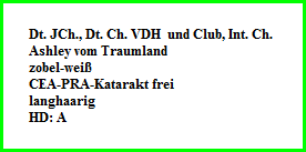 Dt. JCh., Dt. Ch. VDH  und Club, Int. Ch.   Ashley vom Traumland   zobel-weiß  CEA-PRA-Katarakt frei  langhaarig  HD: A
