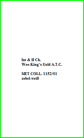 Int & H Ch.  Wee-King's Gold A.T.C.    MET COLL. 1152/01  zobel-weiß